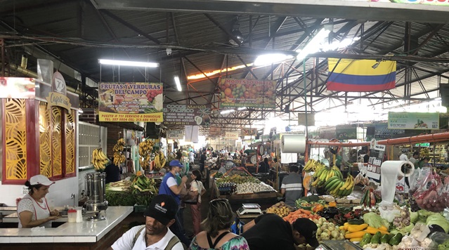 Galeria de Almeda Cali